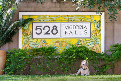 528 Victoria Falls