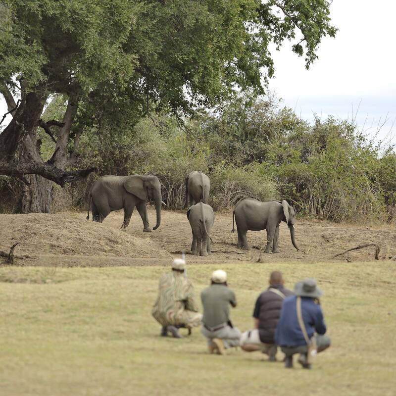Lesbian, Gay, Bisexual and Transgender (LGBT) travel to Zambia
