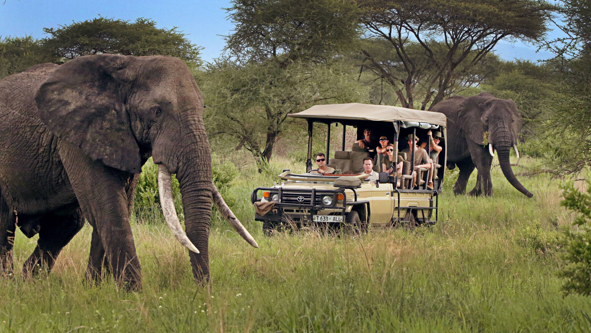 Privately guided safaris