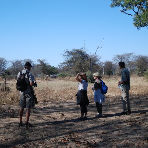 Kaingo Camp