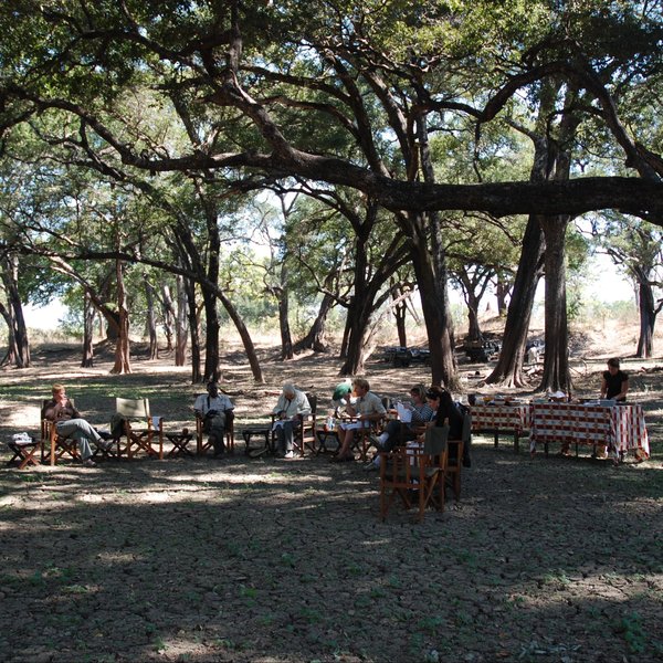 Kaingo Camp