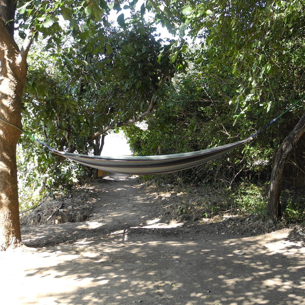 Kaingo Camp