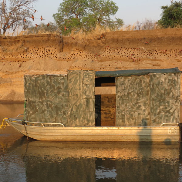 Kaingo Camp