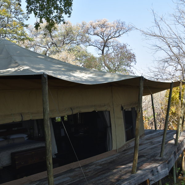Zarafa Camp