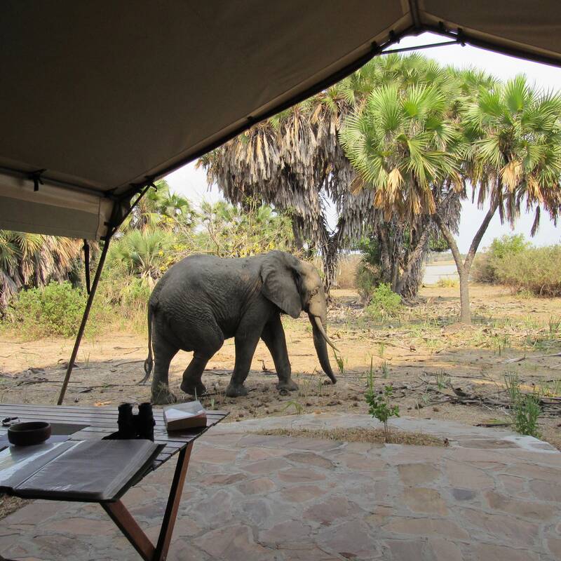 Nyerere National Park