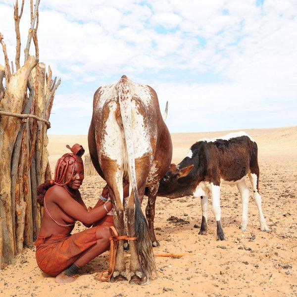 There may be opportunities to meet some of the local Himba people.