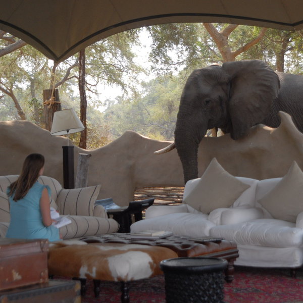 At all of the camps - come prepared to get very close to the wildlife at times.