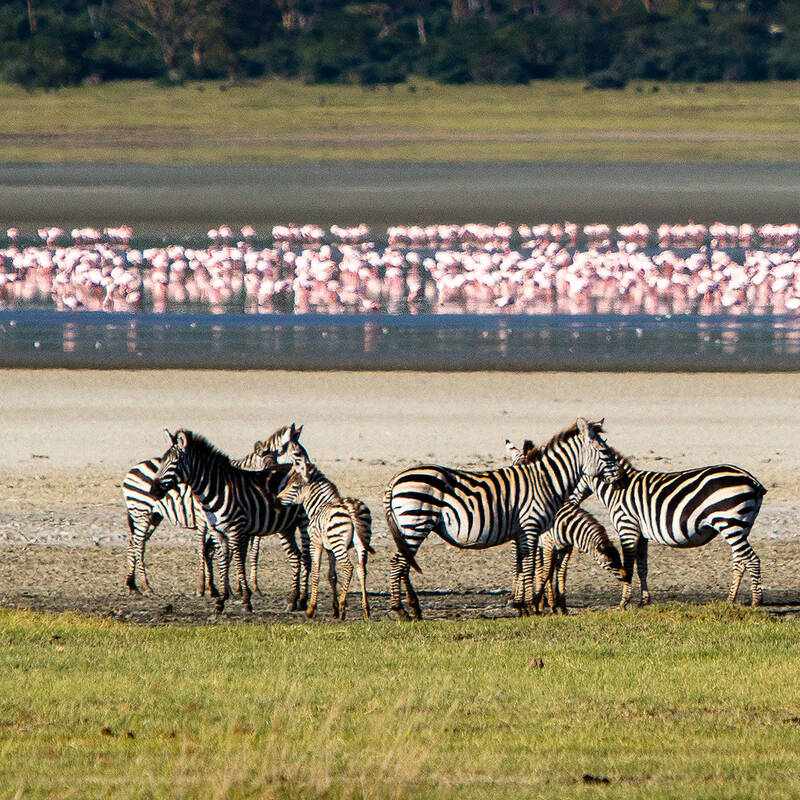 Ngorongoro Crater