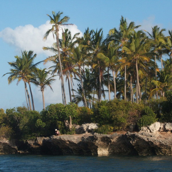 The islands of the Mafia Archipelago are clustered off the coast of southern Tanzania.