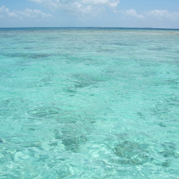 Gaze across the emerald seas…