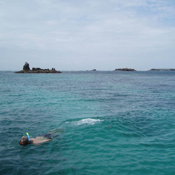 …snorkel and dive.