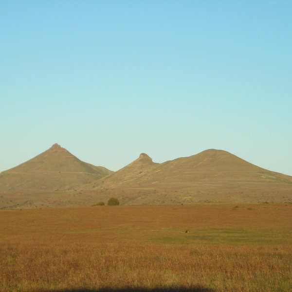 Port Elizabeth is the gateway to the Eastern Game Reserves...