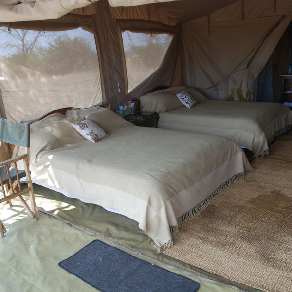 ... and Expert Africa can advise on which are best for you.