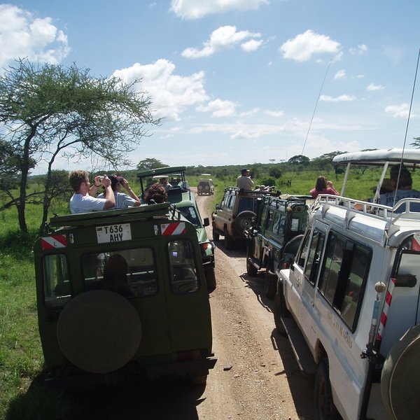 ... and parts of the park can be busy with visitors and their vehicles at times.