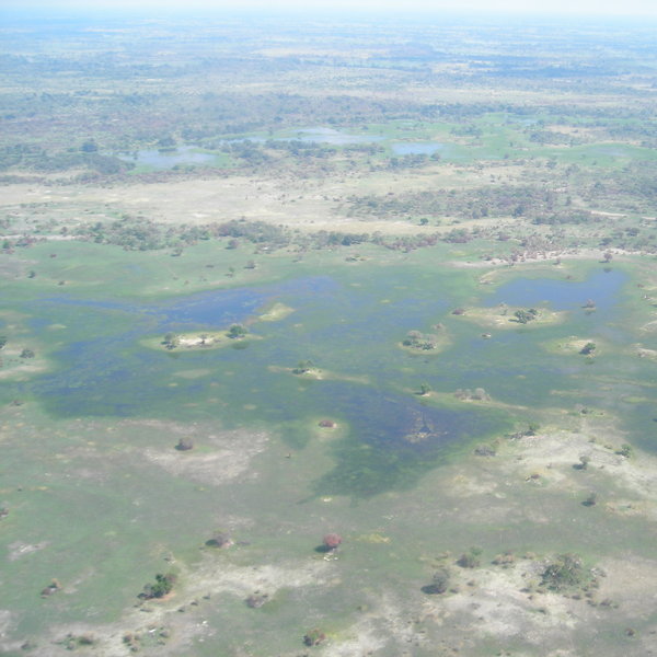 ... but many don't understand that it is really a patchwork of both dry and wet areas.