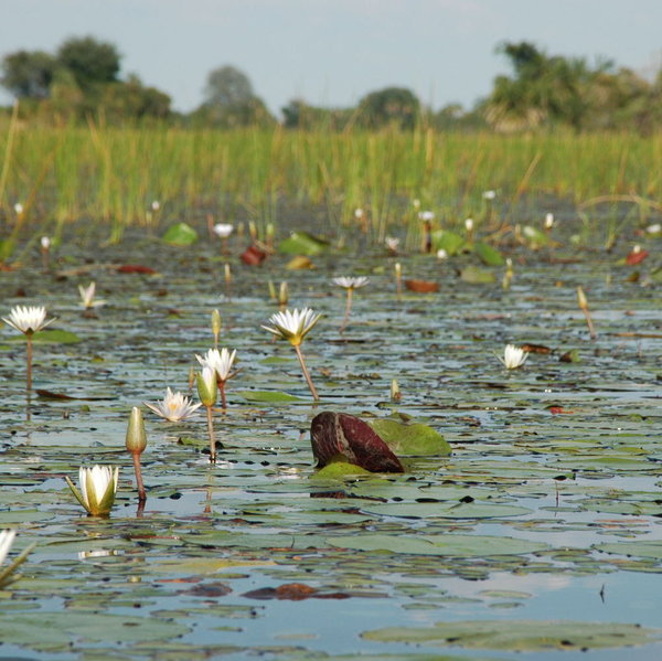 ... which puts you close to eye-level with the water.