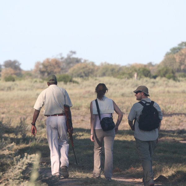 Some camps in the Okavango Delta offer walking safaris as an added activity ...