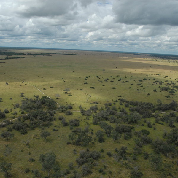 ... famed for the huge open grassland that was once the Savuti Marsh.