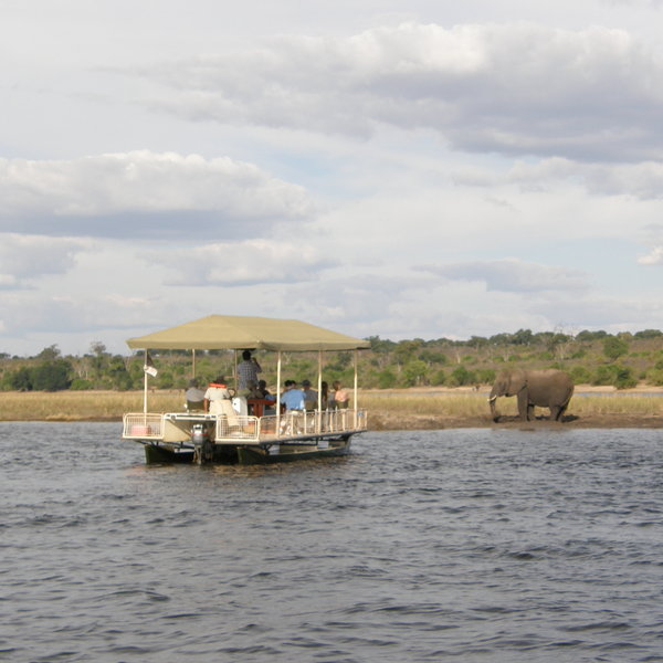 We think that the best way to observe the Chobe's wildlife is often from a boat ...
