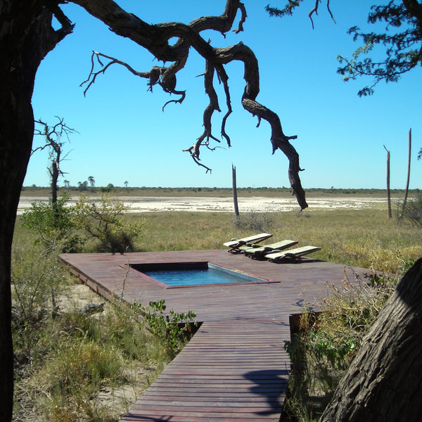 Jack's Camp is more luxurious than it used to be, and recently even gained a swimming pool.