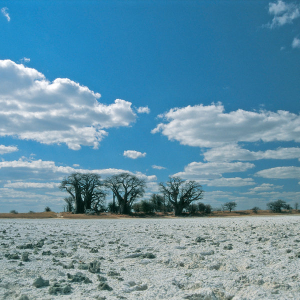 In the dry season, these form vast expanses of dry, silvery salt.