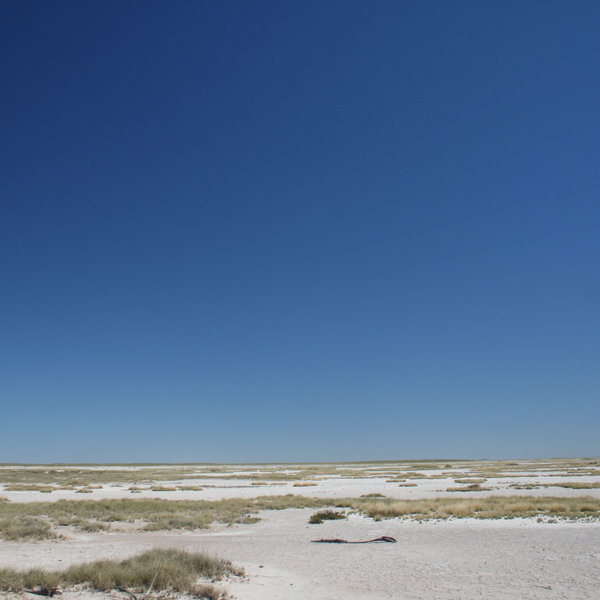 In some places you see scrubby grass; in some nothing but the earth's curvature in salt ...