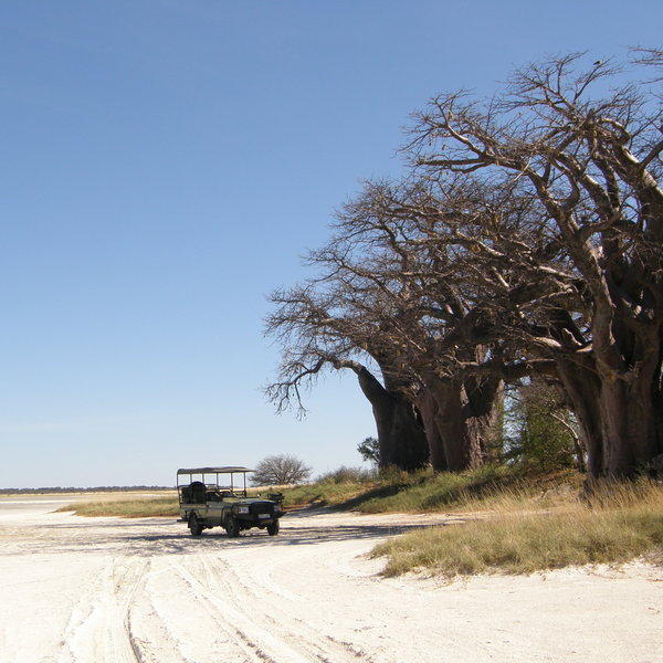 In the middle of the northern Kalahari lie a series of huge, flat salt pans.