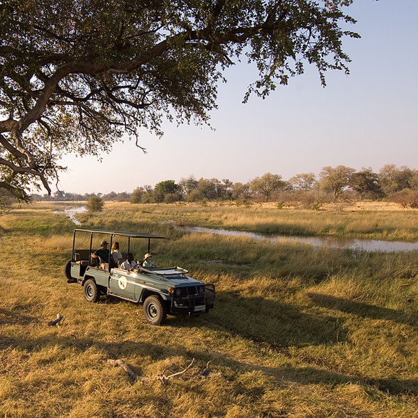 But most of the time the area is quite dry and perfect for safaris in open 4WD vehicles.