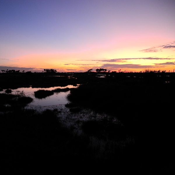 Because all of these areas are private reserves, you can enjoy night drives in open 4WD vehicles ...