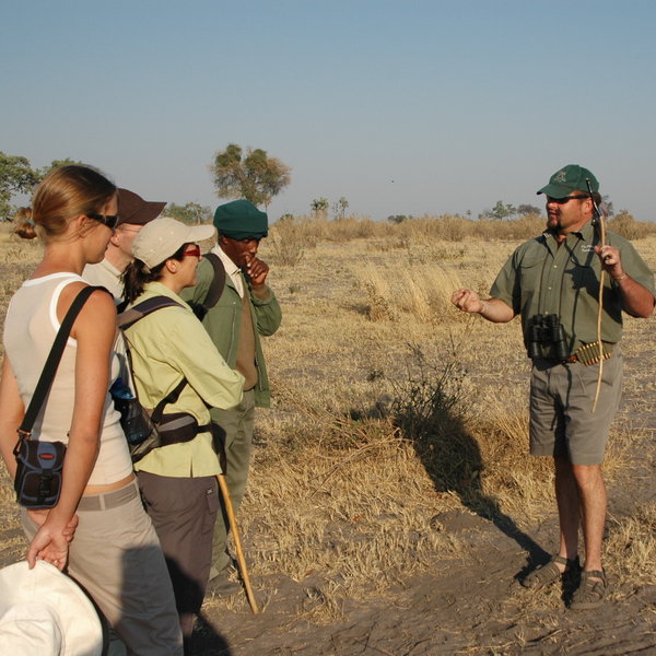 Some of the camps offer guided walking which can be fascinating, and a chance ...