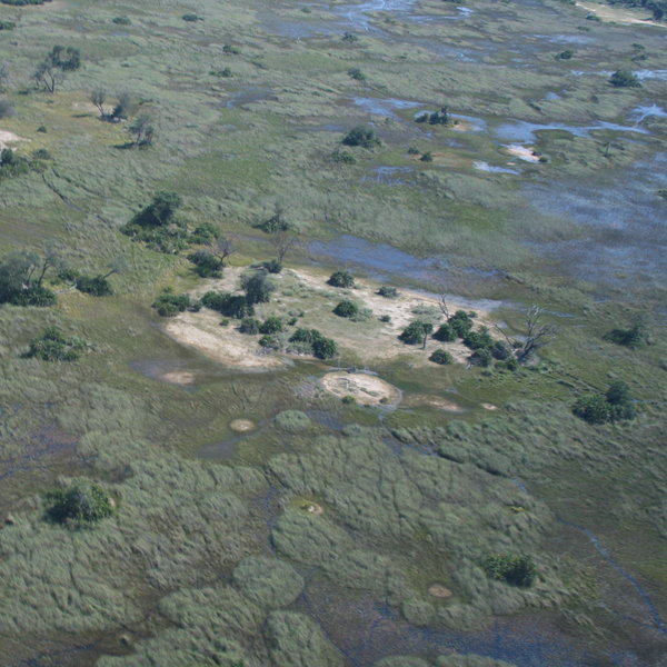 ...and enjoy spectacular aerial views over the Okavango Delta.