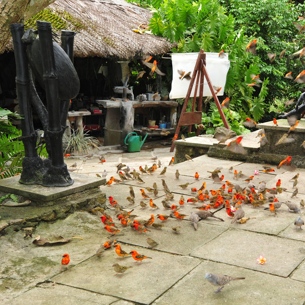 ...and keep an eye out for colourful fodies.