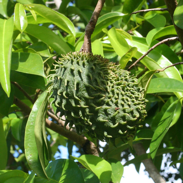 ...with its interesting flora...