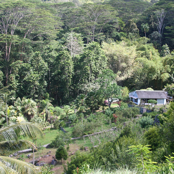 ...and you'll get a glimpse of Mahe's beautiful forested interior.