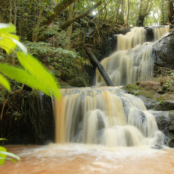 But it's Nairobi's green spaces, like Karura Forest, that make it special…