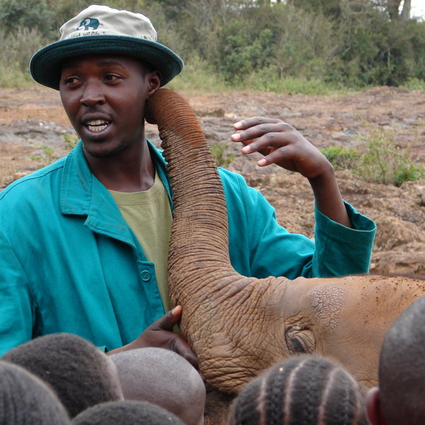 …has perfected the painstaking science of rearing and releasing baby pachyderms…