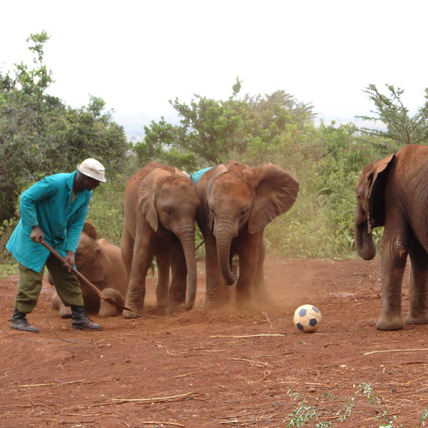 …helping them to overcome their early traumas and become social creatures again.