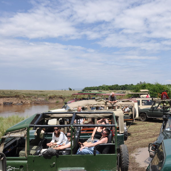 …and large numbers of visitors eager to witness…