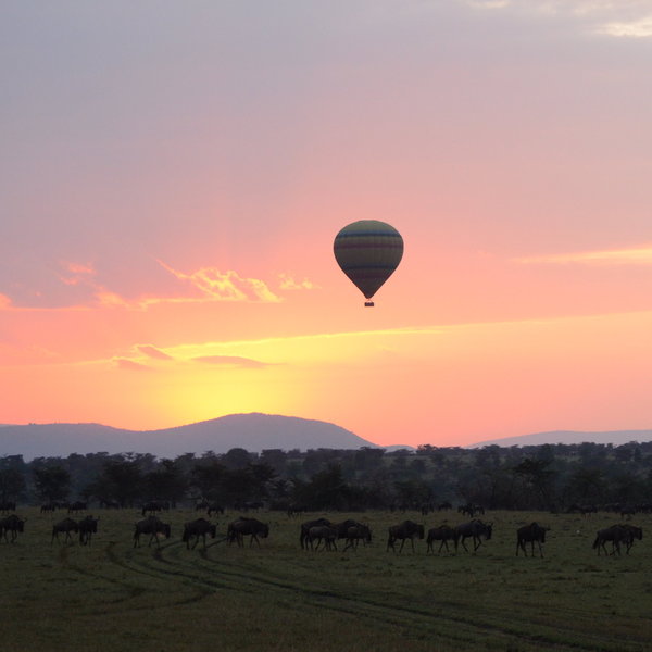 The other singular attraction of the Maasai Mara is balloon flights at dawn.