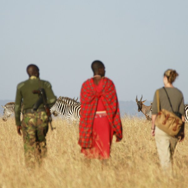 Southeast of Mara North Conservancy lies the Olare Motorogi Conservancy…
