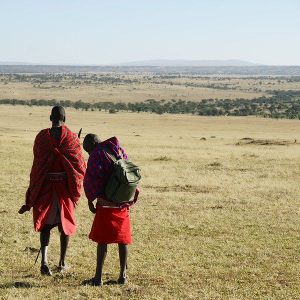 …where a mixture of open grassland and riverine bush…