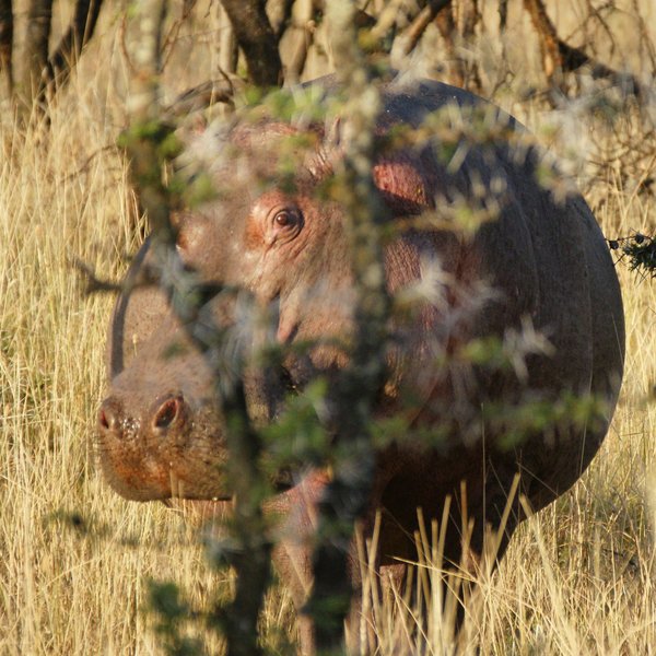 …as guests are always expected, and daily fees are included in the rates at all the camps.