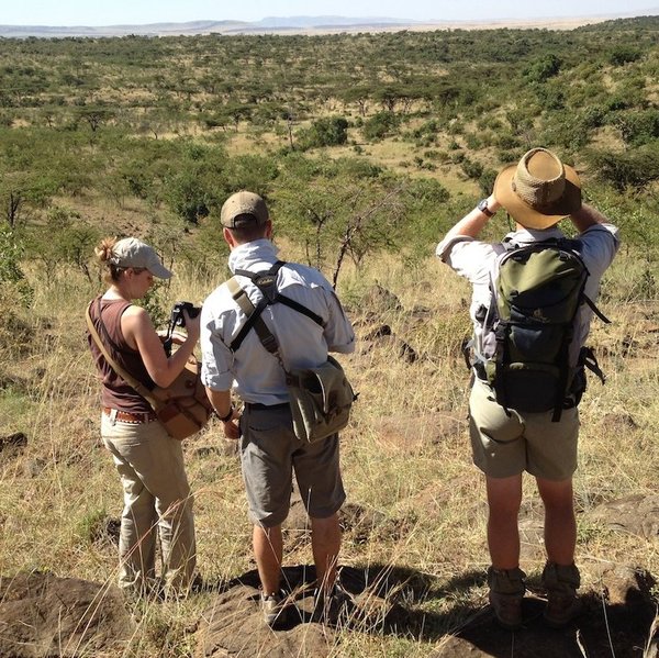 There's varied walking country in Mara Naboisho, here looking towards the reserve…