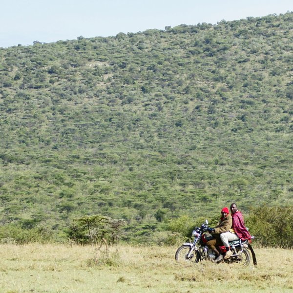 East of Ol Kinyei, lies Siana Group Ranch, which is becoming a conservancy…