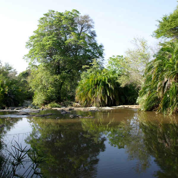 Meru National Park is criss-crossed by streams and scattered with swamps and pools.
