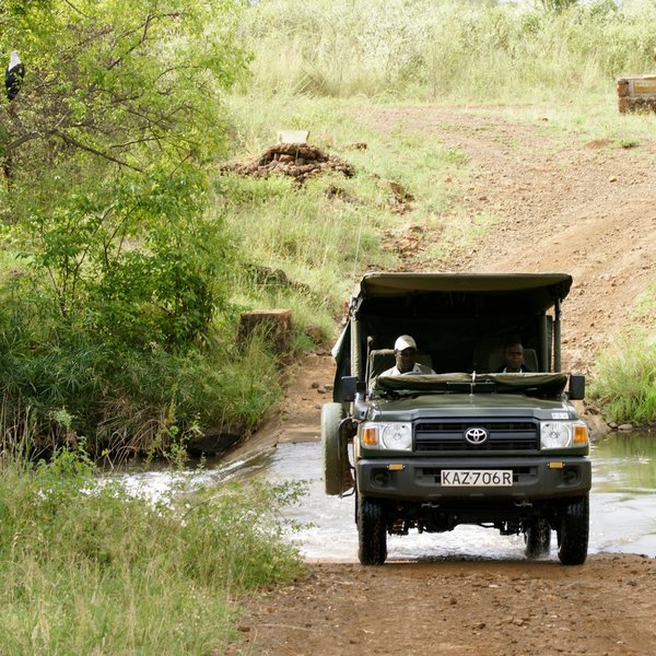 Every game drive involves traversing these, making rainy seasons quite adventurous.