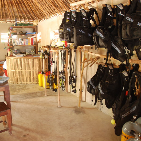 You can explore the remote coastal wilderness by diving…