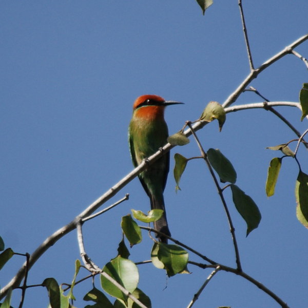 It’s got some great opportunities for bird-watching…