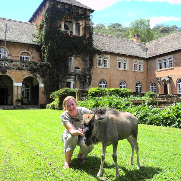 Make new friends, and be fascinated by the owners’ vision for the future of Shiwa.