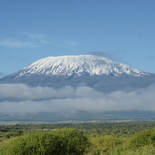Towering over the park, "Kili" is spectacular when it shows itself after fresh snow…